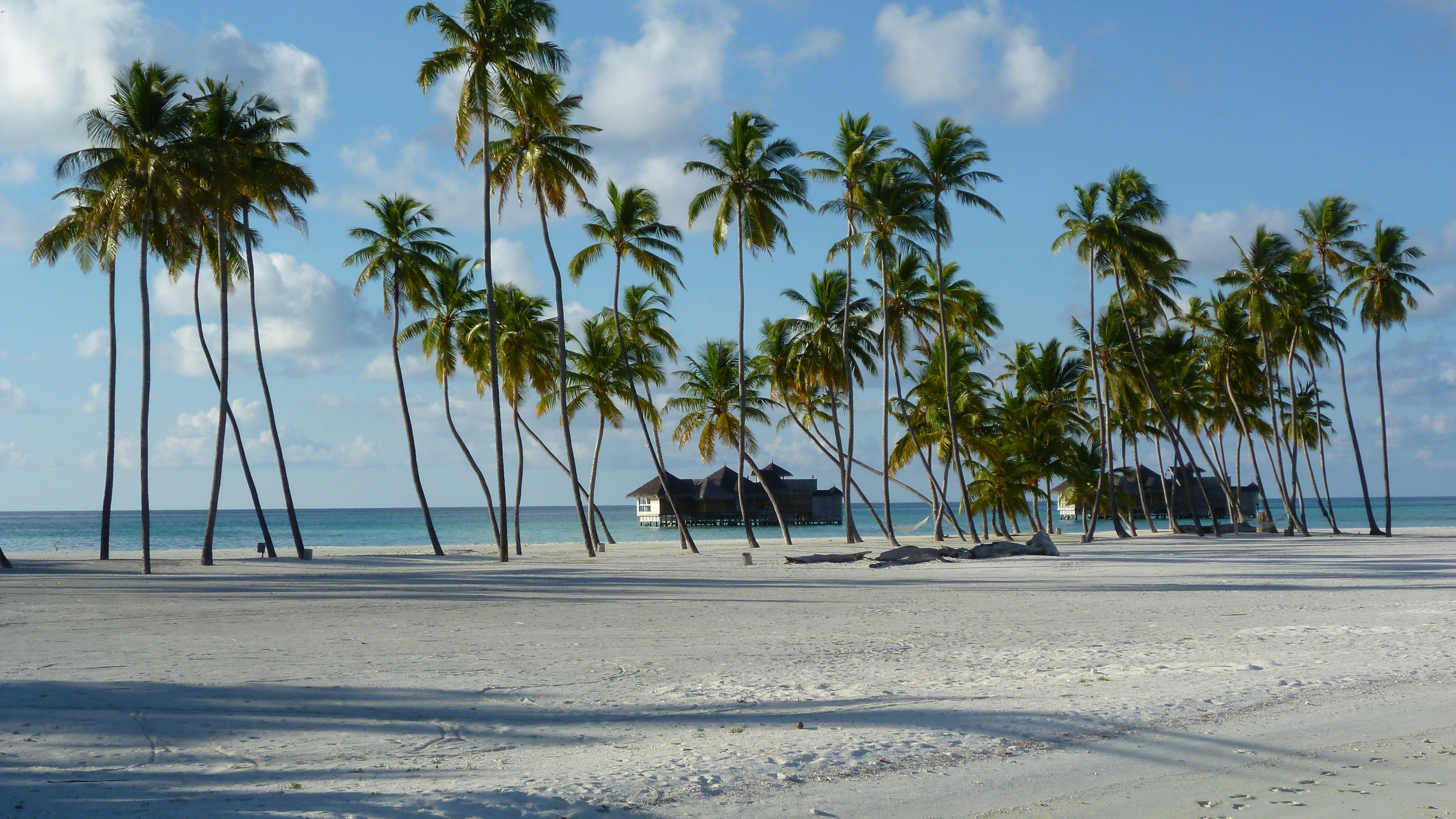 Thomas Cook Group acquires Elegant Resorts Ltd.